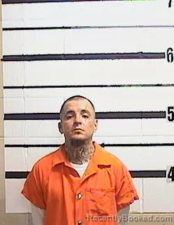 Mugshot of DAVID R GONZALES