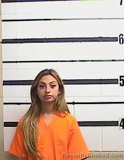 Mugshot of KASSANDRA M ORTIZ