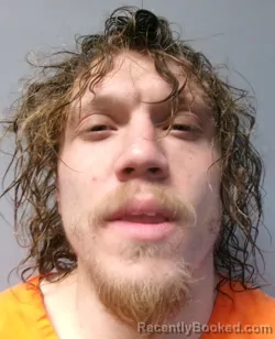 Mugshot of Jeremy Adam Ludwig