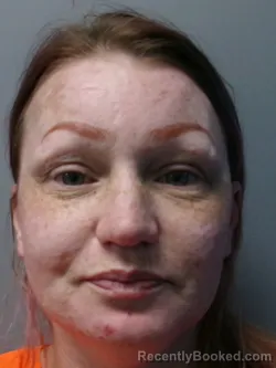 Mugshot of Tessa Jordan Schultz