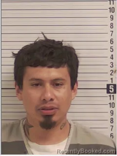 Mugshot of OMAR ALEXANDER MONCAYO