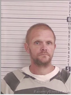 Mugshot of BRONSON MICHAEL LANE