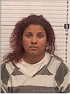 Mugshot of DANIA VANESSA ANDRADE-JIMENES