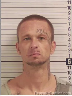 Mugshot of AARON QUINN LOWE