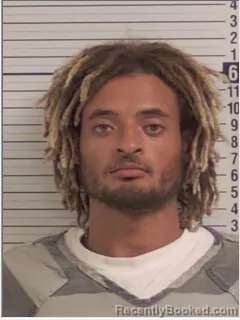 Mugshot of DEVIN ARDREA LUCAS