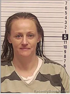 Mugshot of DEANNA DANE BROWN