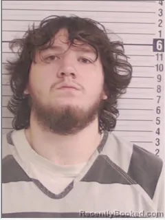 Mugshot of LOGAN JAMES TANNER