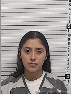 Mugshot of DEILY YOSELIN GOMEZ-MANUELES