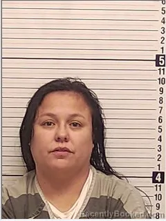 Mugshot of TANYA ANN KRETZENBACHER