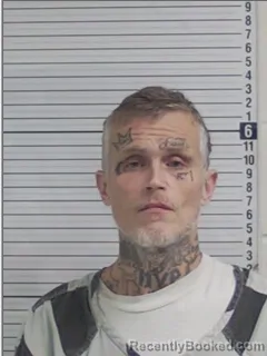 Mugshot of JEFFREY JAMES WILLIAMS