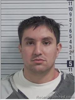 Mugshot of LUIS ALBERTO SARLI