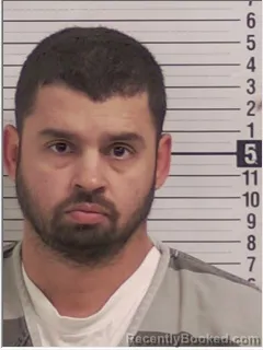 Mugshot of VICTOR HUGO FORONDA-PEREZ