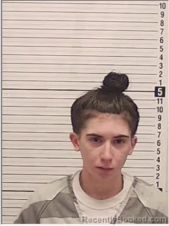 Mugshot of VAIDA JEANNE STAPLES