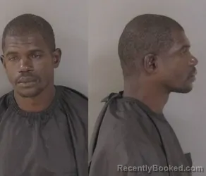 Mugshot of Michael Jerome Sailor