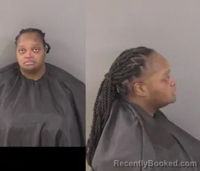 Mugshot of Kayla Cherie Drisdom