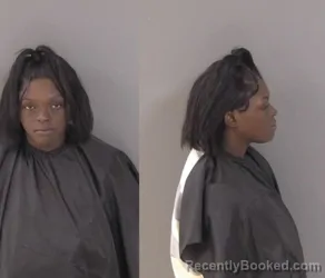 Mugshot of Simmet Taquanda Hudson