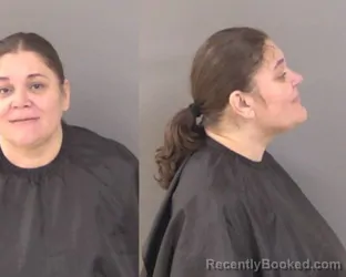 Mugshot of Tara Lynne McLaurin