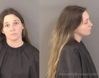 Mugshot of Heidi Lynn Powers