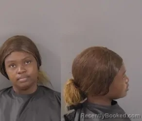 Mugshot of Brittany Leandra Brown