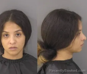 Booking photo from Indian River County, Florida