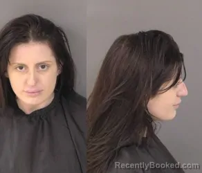 Mugshot of Amanda Marie Landers