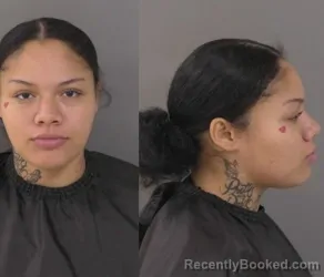 Mugshot of Ebony Sarai Mcgee