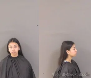 Booking photo from Indian River County, Florida