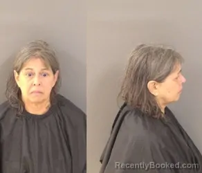 Mugshot of Cheryl Lynn Georgic