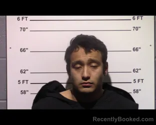 Mugshot of Sergio Flores