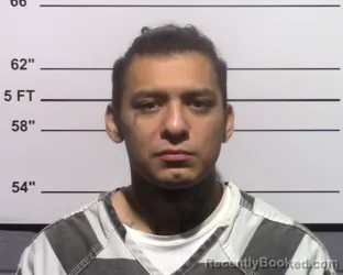 Mugshot of Hector Jesus Calderon
