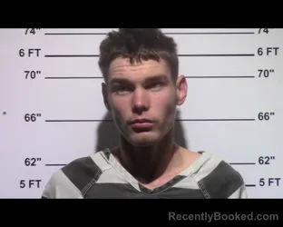 Mugshot of Hollis James George