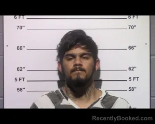 Mugshot of Hector Daniel Garcia
