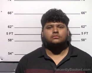 Booking photo from Gillespie County, Texas