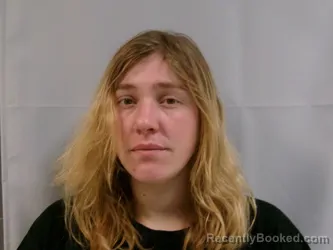 Mugshot of Cheyenne Nicole Butcher