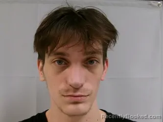 Mugshot of Darian Lee Hamilton