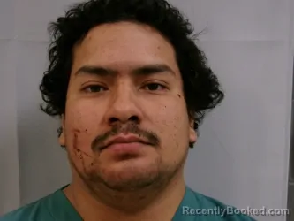 Mugshot of Venny Gonzales