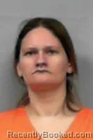 Mugshot of Sarah Ashley Wilson