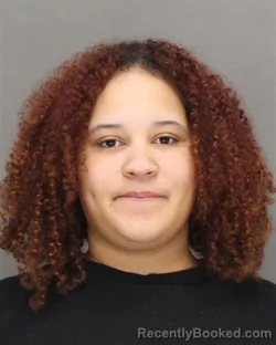 Mugshot of RENEE LYNN ROSKOSKI