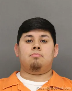 Mugshot of DEEJAY CARTEL BAIRD