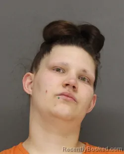 Mugshot of BREEANNA LYNN WERNER