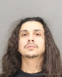 Mugshot of MITCHELL JOHN POWLESS