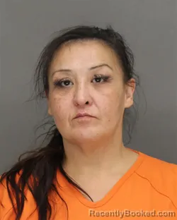Mugshot of CHRISTINA KAYE POLZIN
