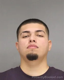 Mugshot of DAVID NMI VARGAS