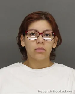 Mugshot of JOHANISLYN OTILIA REYES