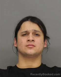 Mugshot of LEOPOLDO NMI CONTRERAS-WEBSTER