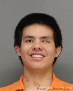 Mugshot of JOSEPH LEE SOULIER