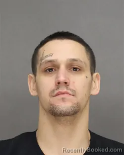 Mugshot of DEVAN MICHAEL DESALVA