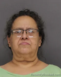 Mugshot of TERESA KAREN HAACK