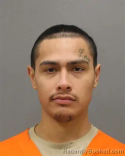 Mugshot of NATHAN NMI JOHNSON
