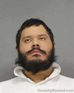 Mugshot of ALLEN DAVID HAMMER